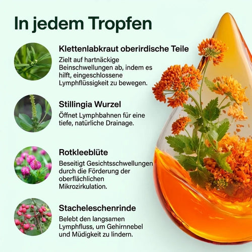 Lymphliebe® Lymphdrainage-Tropfen